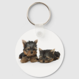 Chaveiro Cute Yorkshire Terrier cachorrinhos