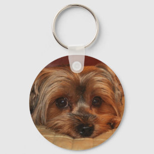 Chaveiro Cute Yorkshire Terrier Dog