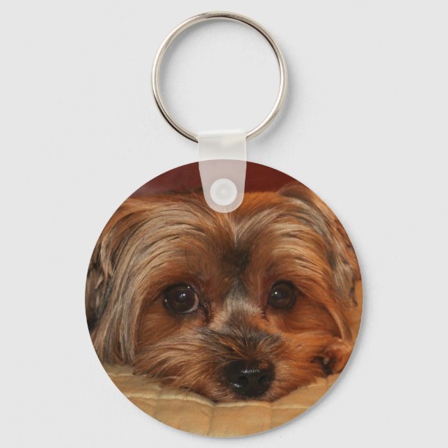 Chaveiro Cute Yorkshire Terrier Dog (Frente)