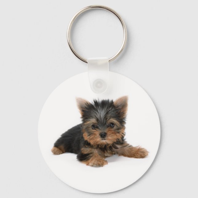 Chaveiro Cute Yorkshire Terrier Puppy (Frente)