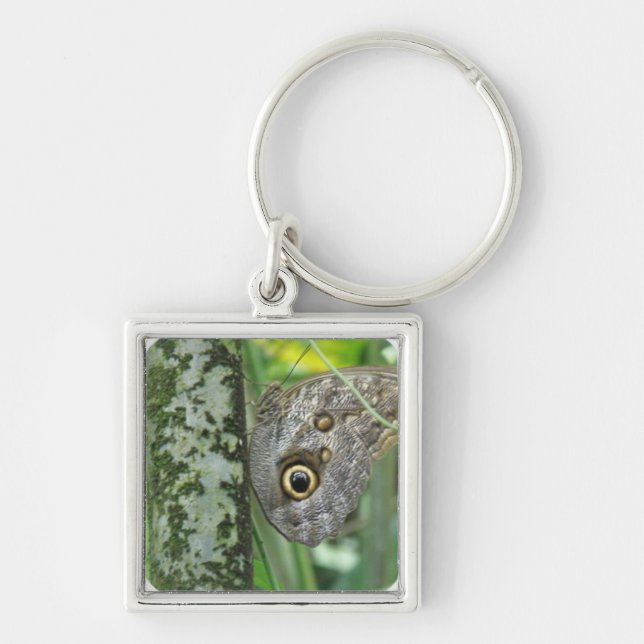 Chaveiro da borboleta da coruja de celeiro (Frente)