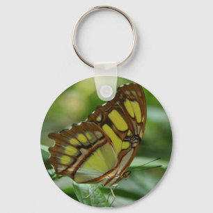 Chaveiro da borboleta da malaquite