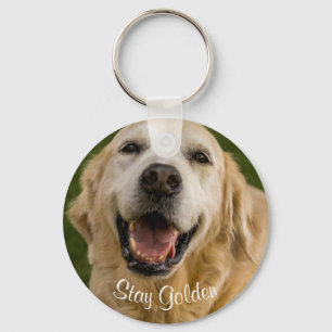 Chaveiro Da "chaveiro dourado do golden retriever estada"