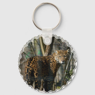 Chaveiro da foto de Jaguar