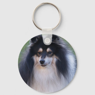 Chaveiro da foto de Sheltie