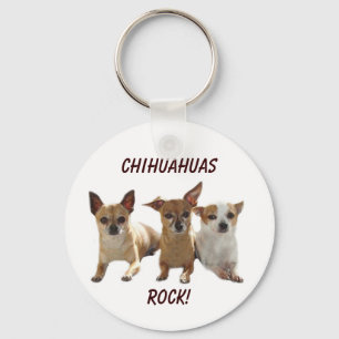 Chaveiro da rocha das chihuahuas