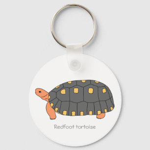 Chaveiro da tartaruga de Redfoot