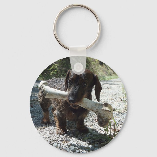 Chaveiro Dachshund (Frente)