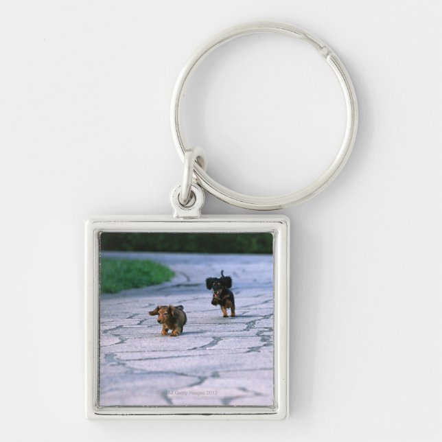 Chaveiro Dachshund diminuto 3 (Frente)