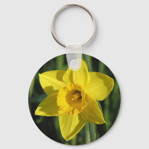 Chaveiro Daffodil bonito