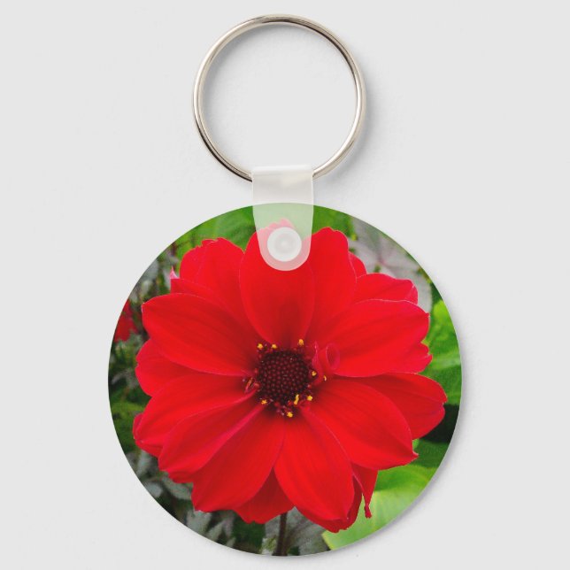 Chaveiro Dahlia - Bispo de Llandaff (Frente)