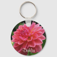 Dahlia Rosa