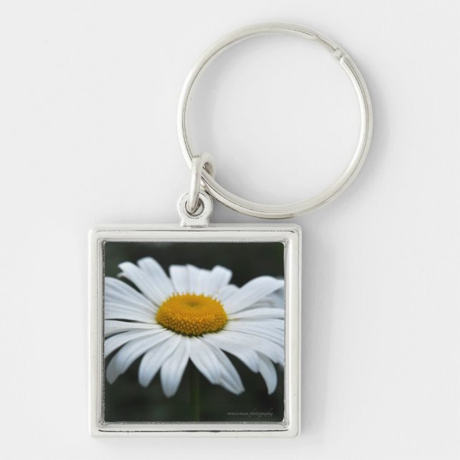 Chaveiro Daisy - Enfrentar (Frente)