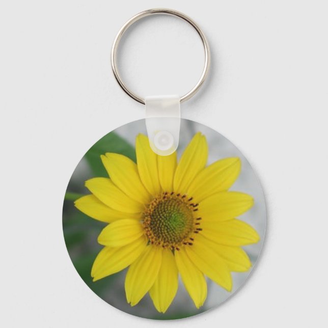 CHAVEIRO DAISY KEYRING (Frente)