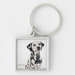 Chaveiro Dalmatian