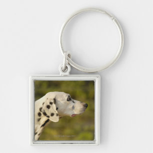 Chaveiro Dalmatian 4