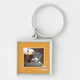 Chaveiro Dats uma pele pequena da etapa mim