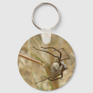 Chaveiro de aranha e saco de ovos
