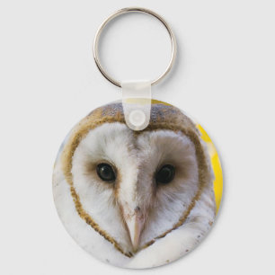 Chaveiro de Barn Owl