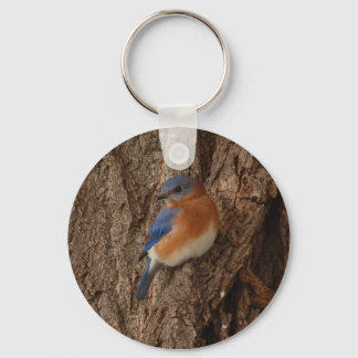 Chaveiro de Bluebird