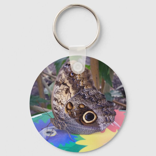 Chaveiro de borboleta (Frente)