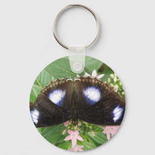 Chaveiro de Borboleta Azul