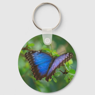 Chaveiro de Borboleta Azul Morpho