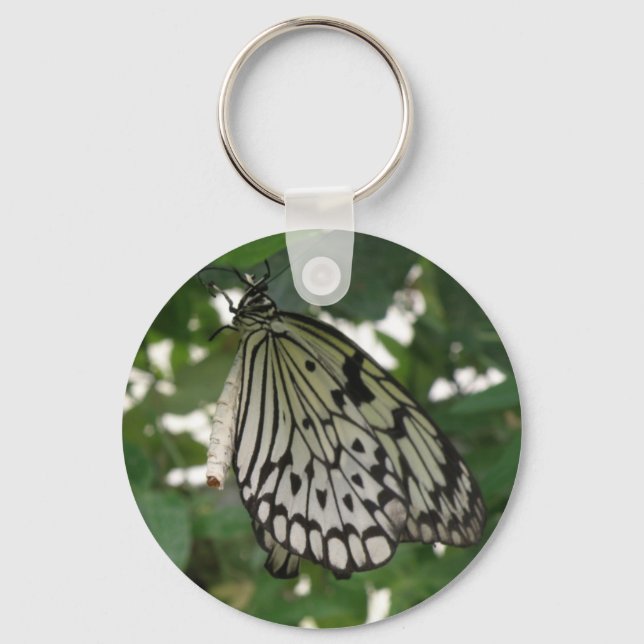 Chaveiro de borboleta de papagaio tropical (Frente)