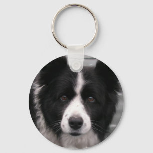Chaveiro de border collie