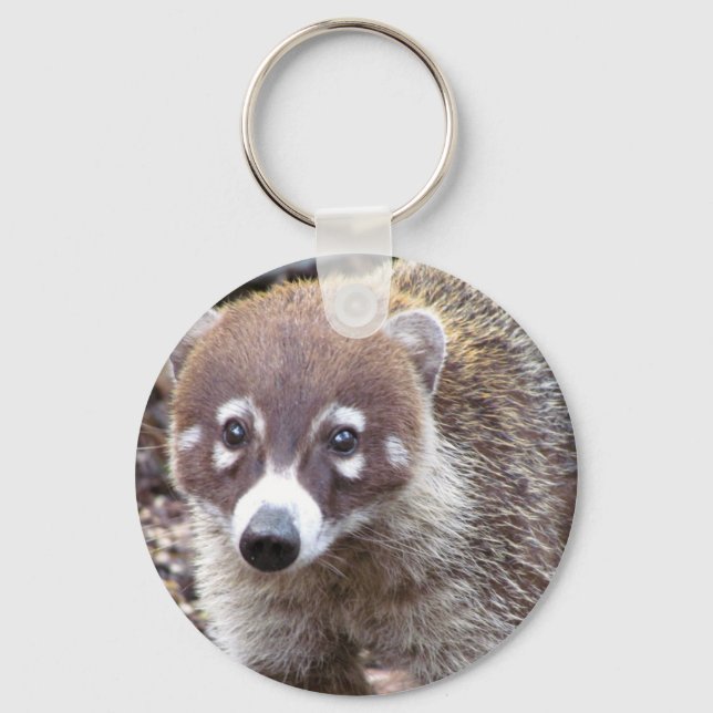 Chaveiro de Botão Básico de Coati (Frente)