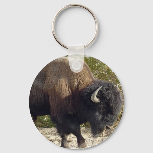 Chaveiro de Buffalo Americano (Frente)