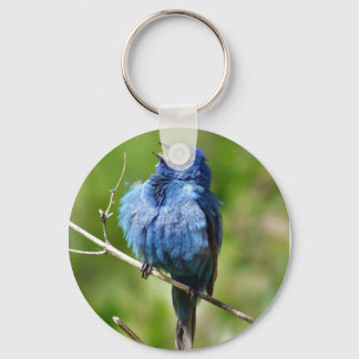 Chaveiro de Bunting Indigo