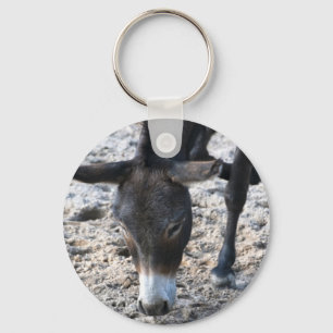 Chaveiro de Burro