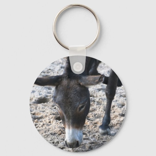 Chaveiro de Burro (Frente)