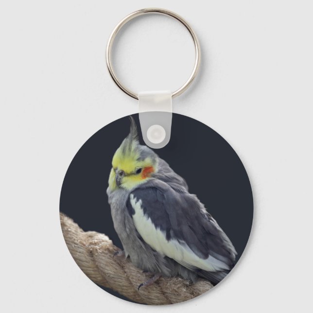 Chaveiro de Cacatua Fofa (Frente)