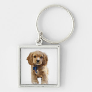Chaveiro de cachorrinho