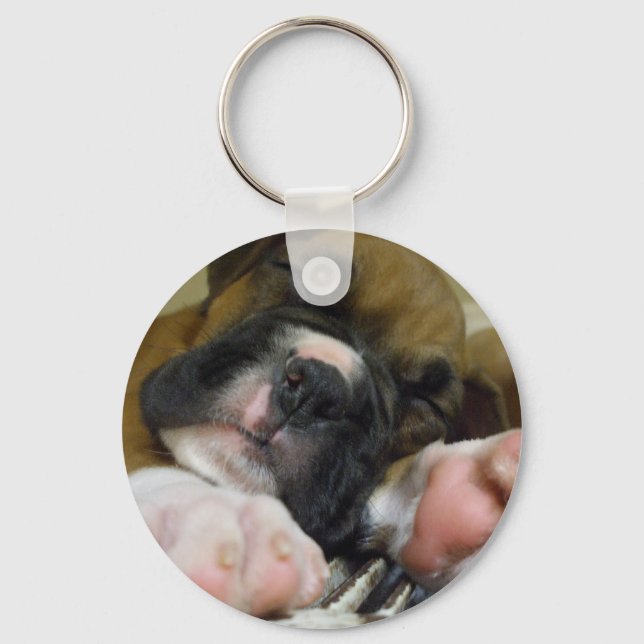 Chaveiro de cachorrinho-de-dormir (Frente)