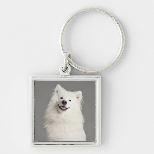 Chaveiro de Cachorro Americano Eskimo Branco (Frente)
