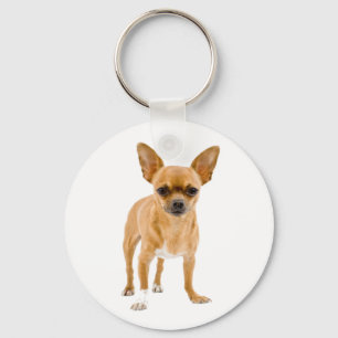 Chaveiro de Cachorro Chihuahua