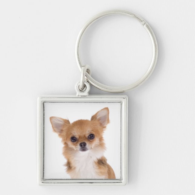 Chaveiro de Cachorro Chihuahua Amor (Frente)