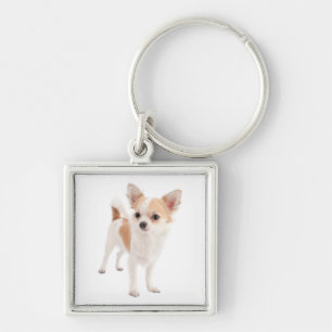 Chaveiro de Cachorro Chihuahua Filhote Amor