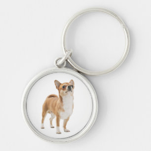 Chaveiro de Cachorro Chihuahua Filhote Amor