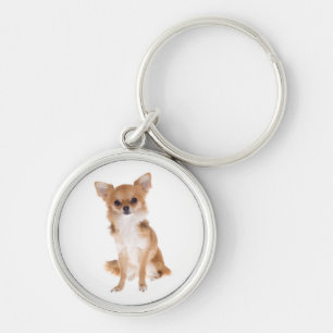 Chaveiro de Cachorro Chihuahua Filhote Amoroso
