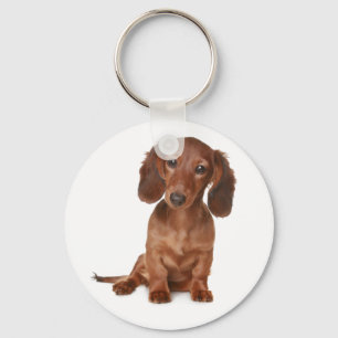 Chaveiro de Cachorro Dachshund Filhote