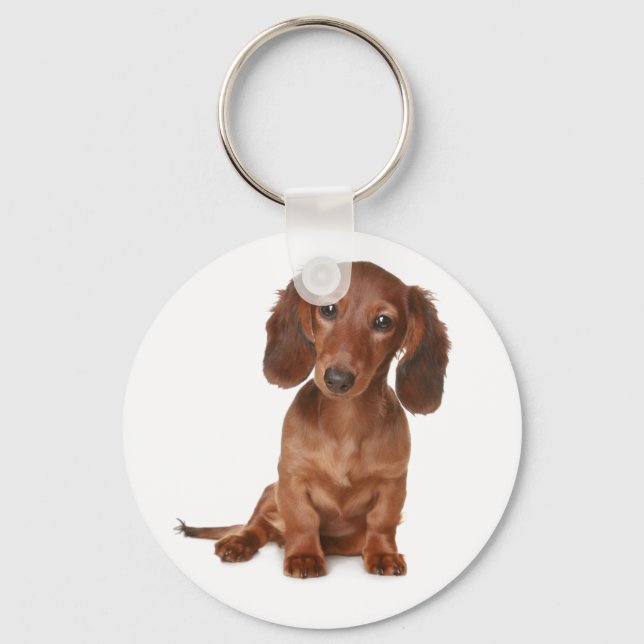 Chaveiro de Cachorro Dachshund Filhote (Frente)