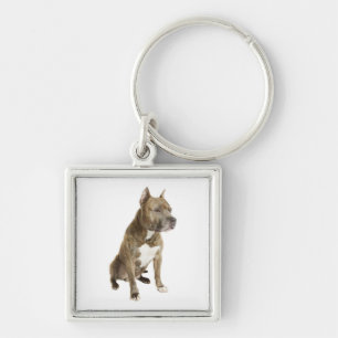 Chaveiro de Cachorro Filhote American Staffordshir