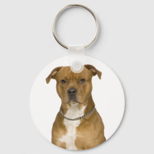 Chaveiro de Cachorro Filhote American Staffordshir