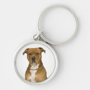 Chaveiro de Cachorro Filhote American Staffordshir