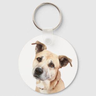 Chaveiro de Cachorro Filhote American Staffordshir