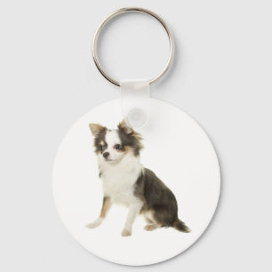 Chaveiro de Cachorro Filhote Chihuahua de Pelo Lon